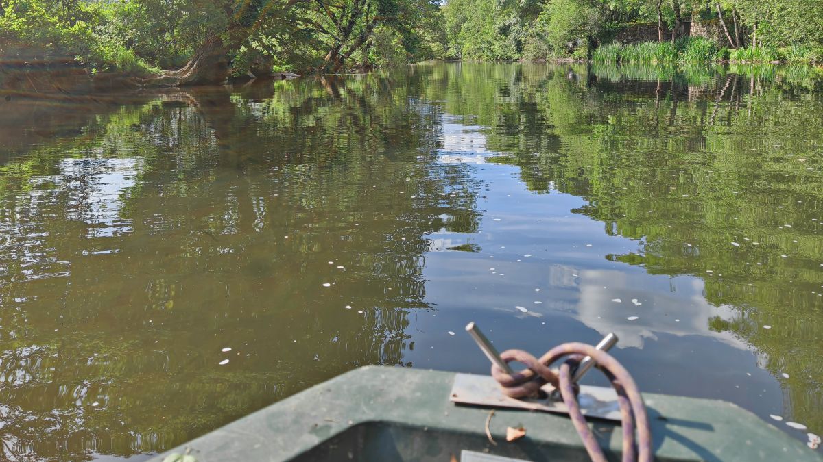 balade en barque sur le Sèvre Nantaise